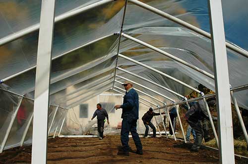 Image of hoop houses