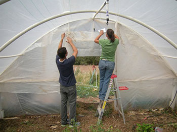 Image of students in hoop house